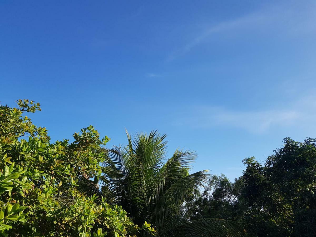 Casa Dentro De Porto De Galinhas. 04Suites.01Quarto. エクステリア 写真